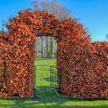 Gorgeous In Nuebel Ot