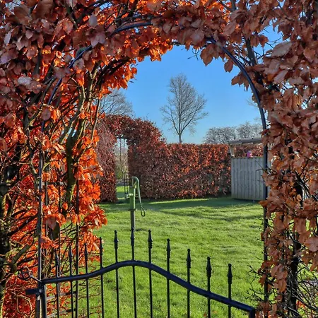 Gorgeous In Nuebel Ot *